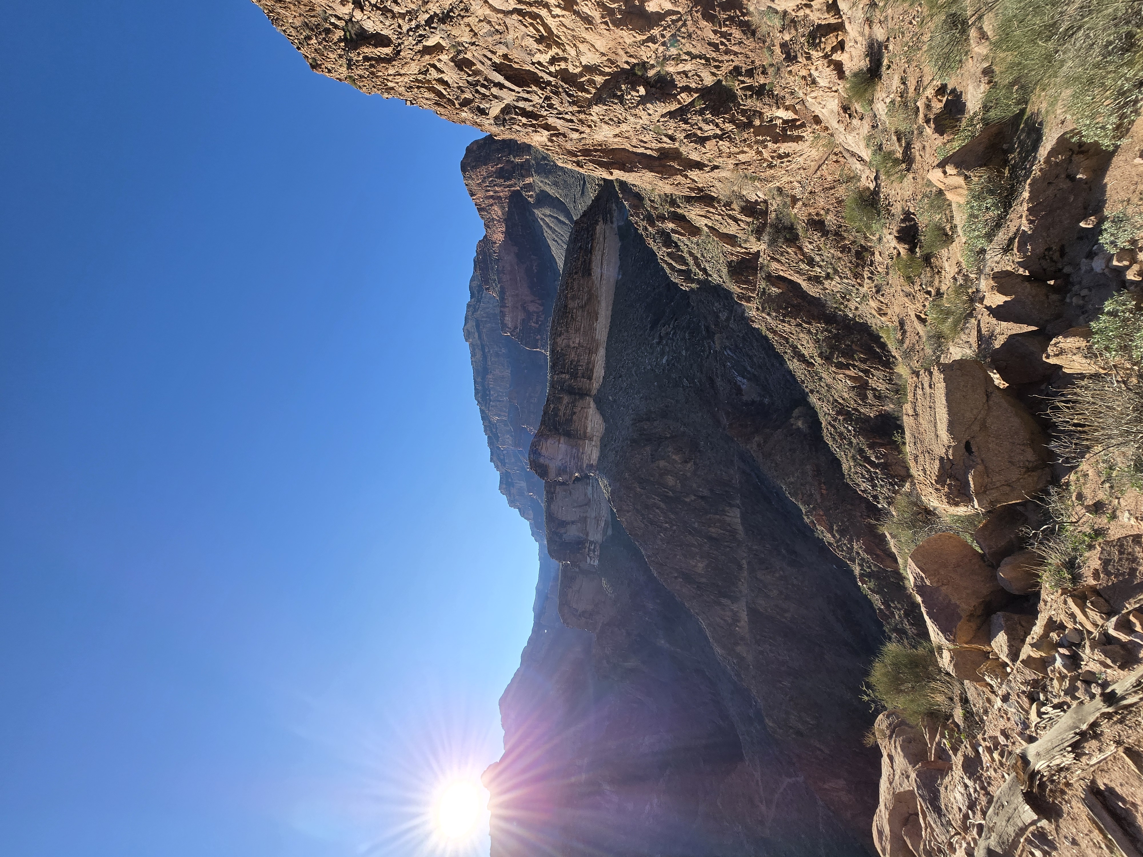 Eccentric Load & Stress Inversion: What Happens When the Descent Comes First — Science