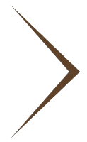 Brown Arrow