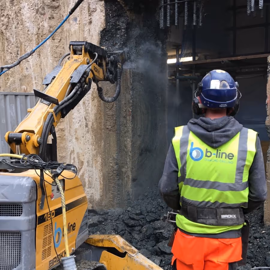 Project Gallery Image