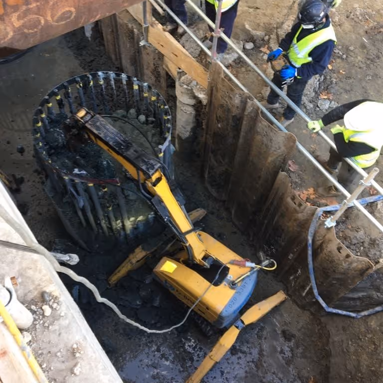 Project Gallery Image