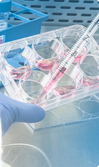Close-up of a scientist putting liquid in containers