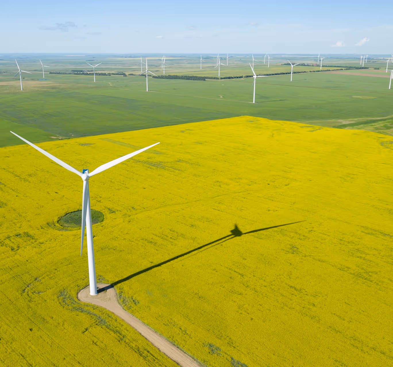 Wind turbines generating renewable energy over yellow rapeseed field