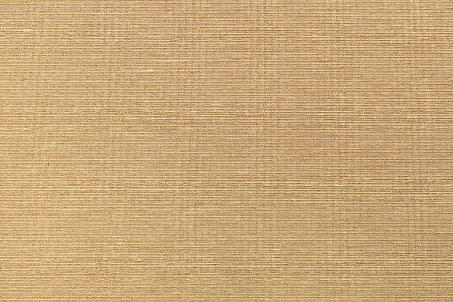Asti 69-2425