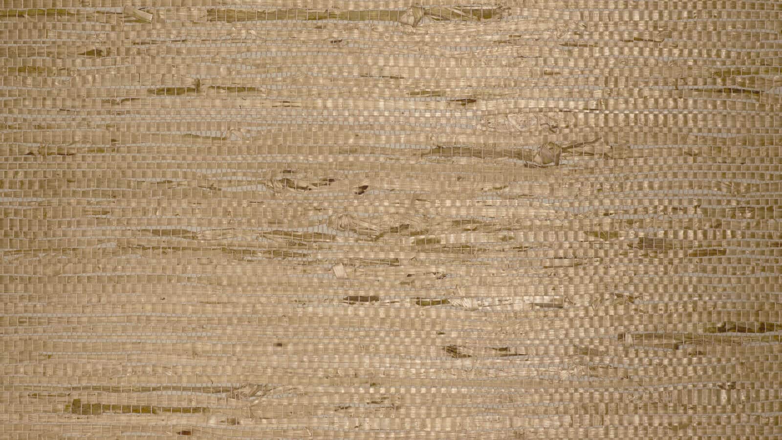 Fiji 2336