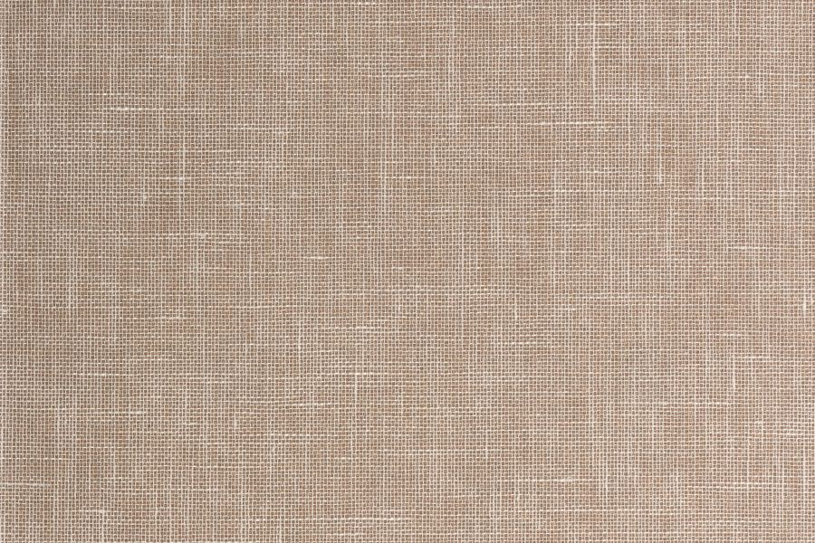 Barnes 70-2521