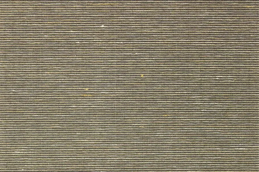 Asti 69-2426