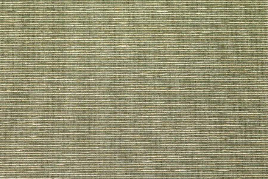 Asti 69-2428