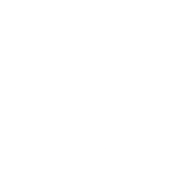 dollar-sign-icon