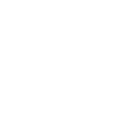 world-icon