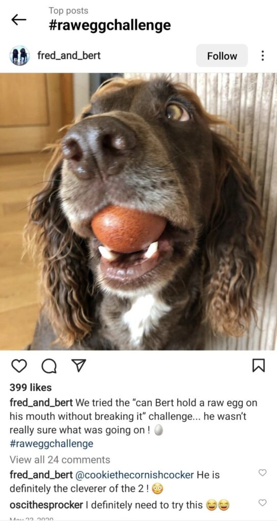 instagram screenshot raw egg challenge