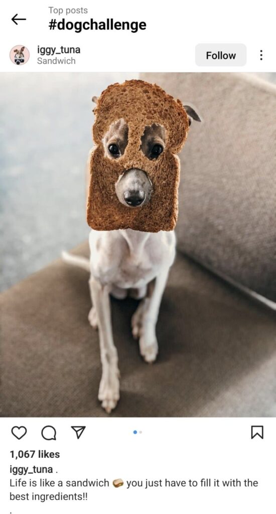 instagram screenshot unflattering photo challenge