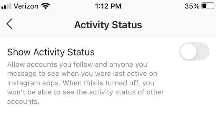 instastalker activity status