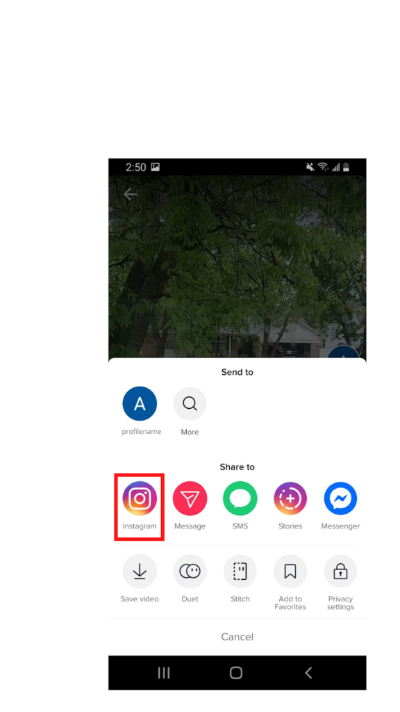 Picture of selecting Feed to publish instagram post with music