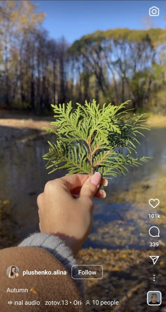 instagram reel of alina about autumn
