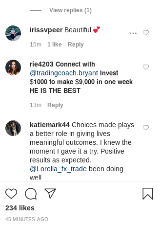 Fake Instagram Followerscomments