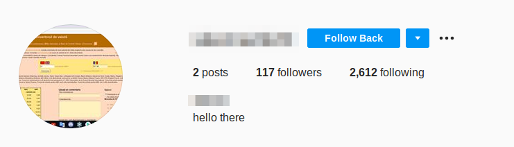signs of Fake Instagram Followers