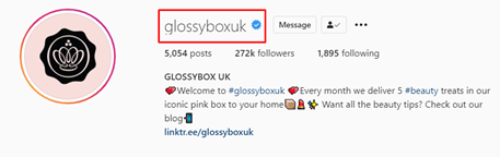 instagram handle name