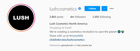 industry name included in instagram handle