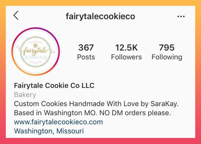 optimizing your Instagram bio 