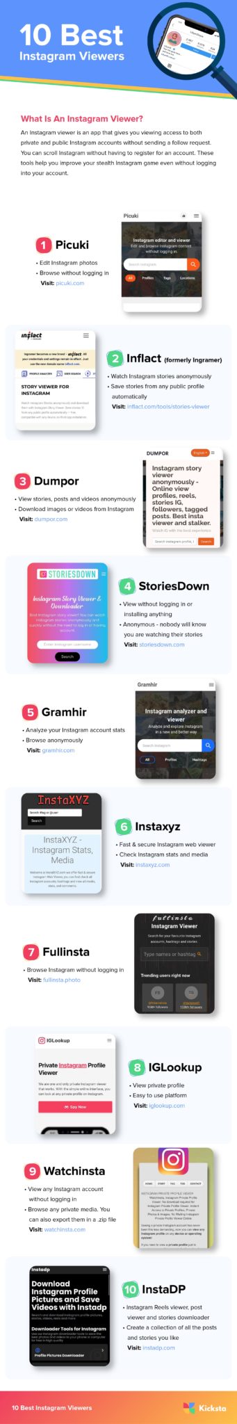 Infographic featuring the top 10 Instagram viewers