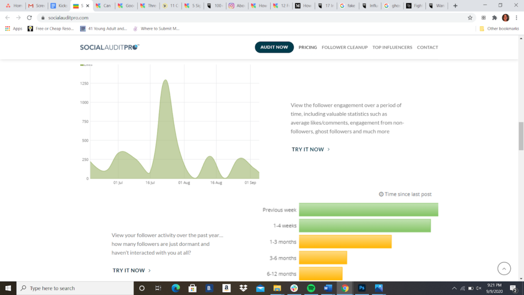 Instagram audit analytics