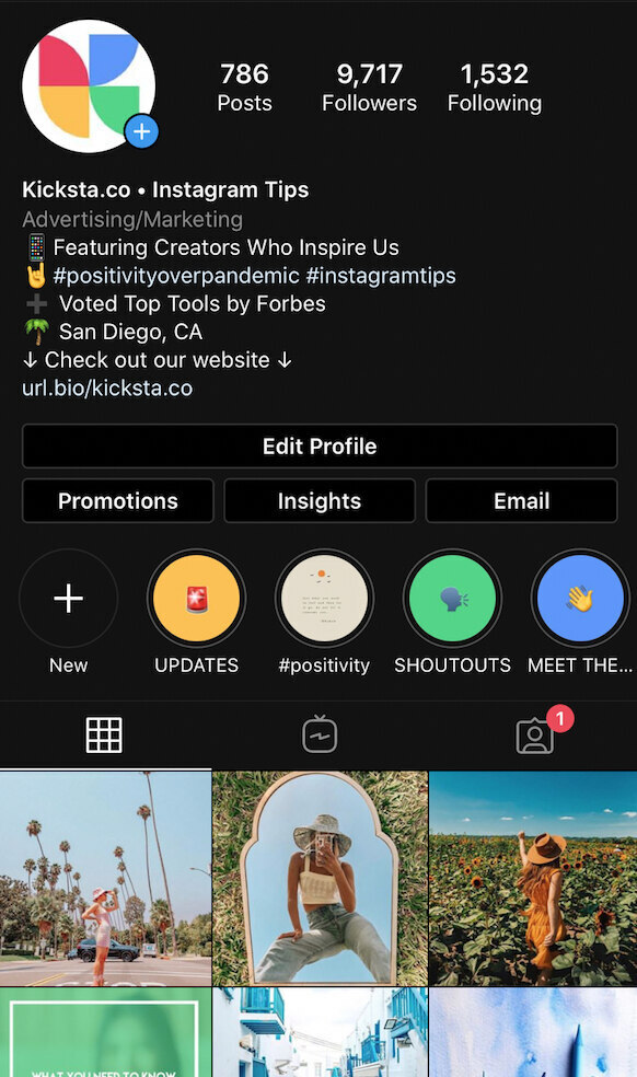 Instagram audit bio
