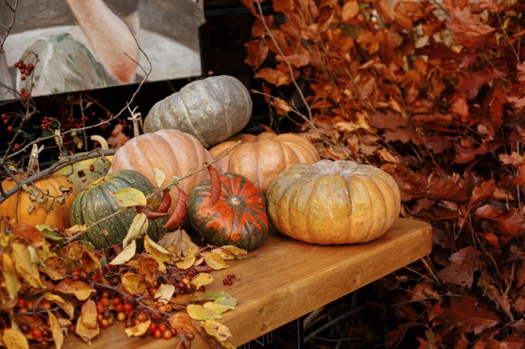 Pumpkins on the table