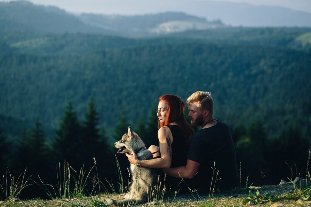 Hiking with pets in the mountains