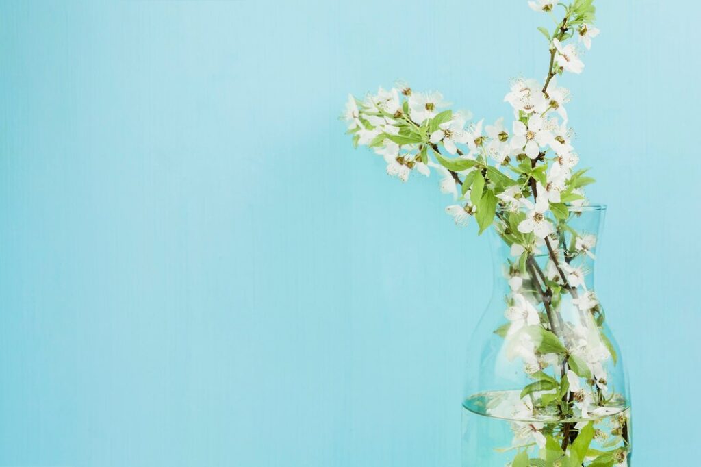 fresh flowers in a blue background
