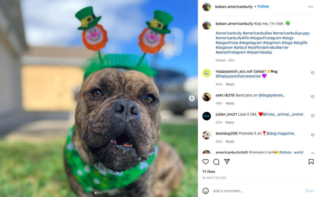 funny St. Patricks Day kiss me I'm Irish caption