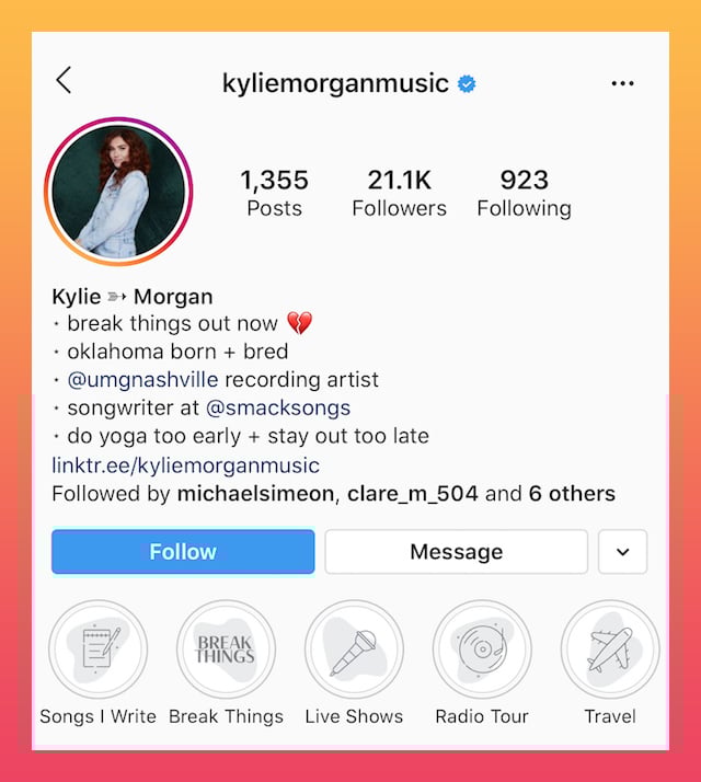 Instagram bios media and music example