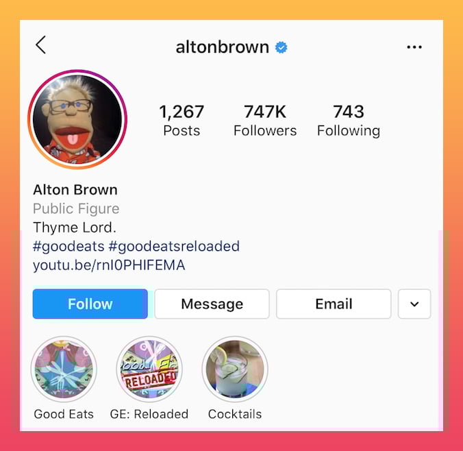 Instagram bio pun example 