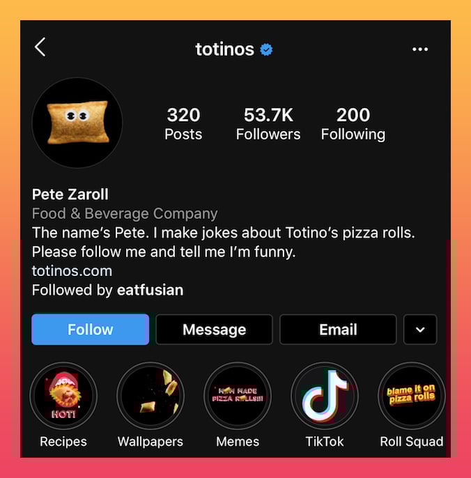 Instagram bio pun example 