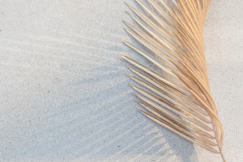 Beach Vibes and Aesthetic