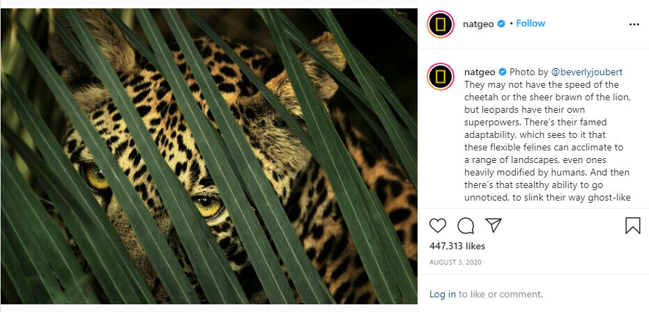 Instagram post from National Geographic