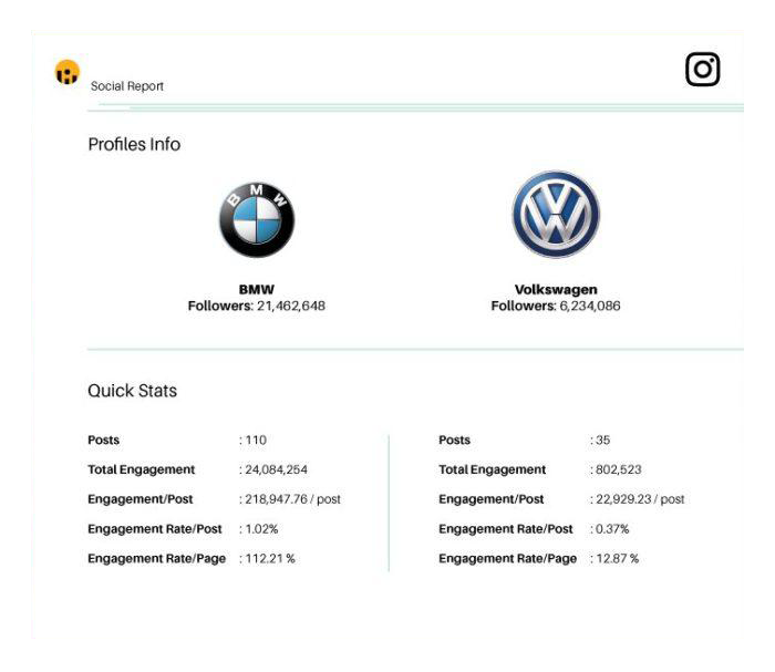 comprehensive Instagram report