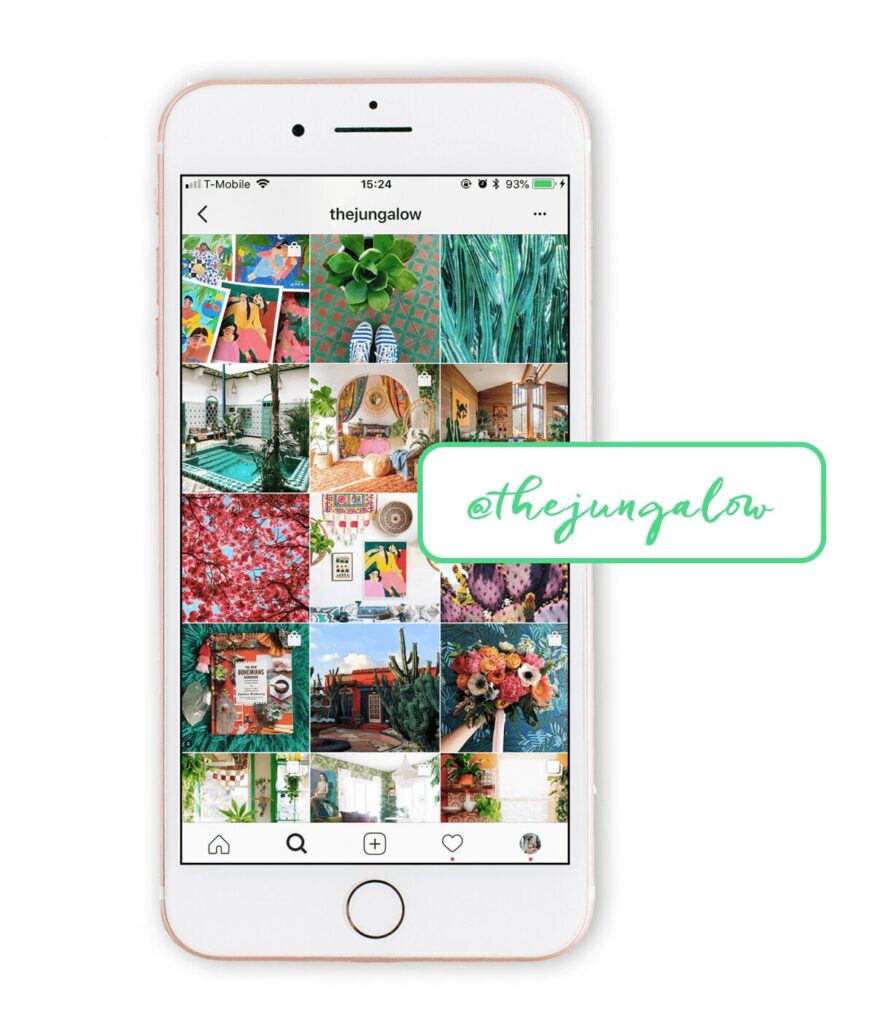 bold and vibrant theme 