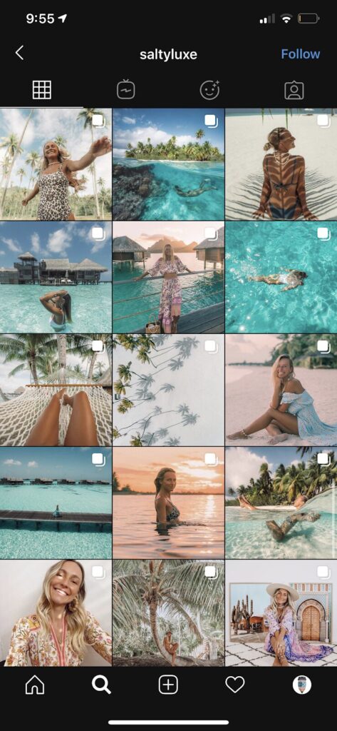 tropical instagram account example