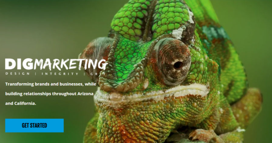 Dig Marketing agency