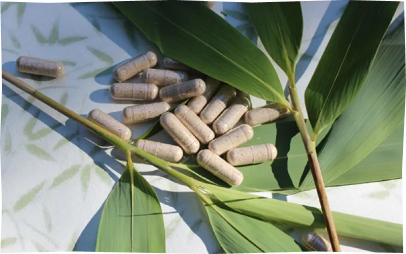 horizom bambou antioxydants