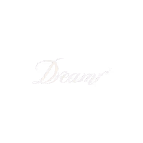 dreamr brand logo