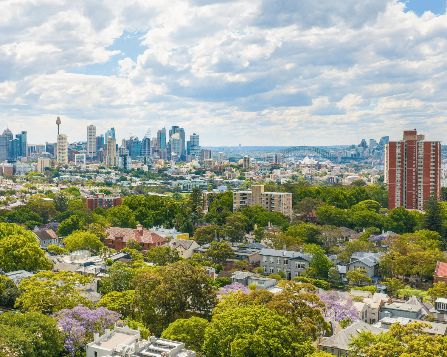 Aerial view of leafy Sydney suburbs with jacarandas, the city skyline and Harbour Bridge