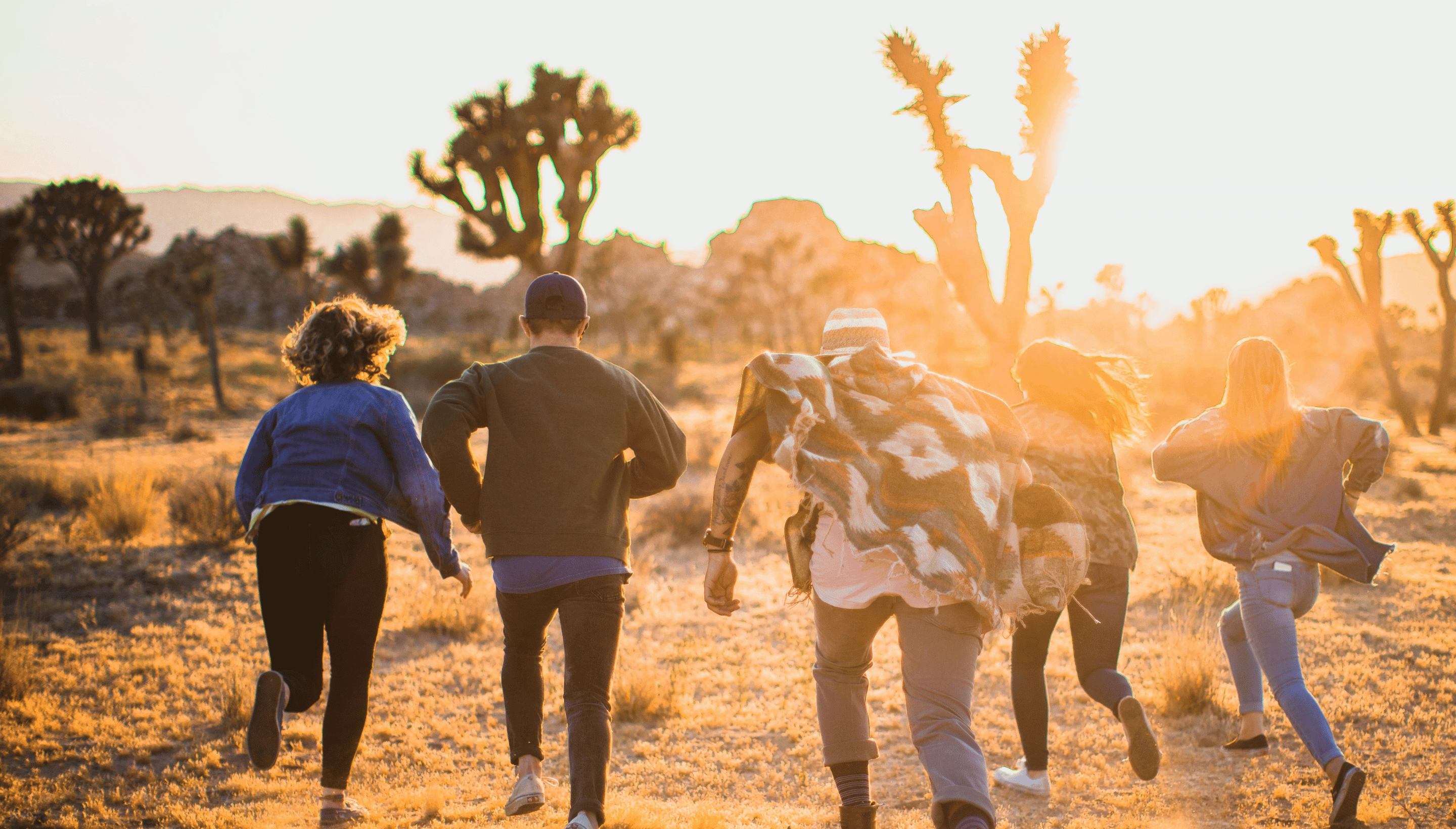 Upgraders running to buy