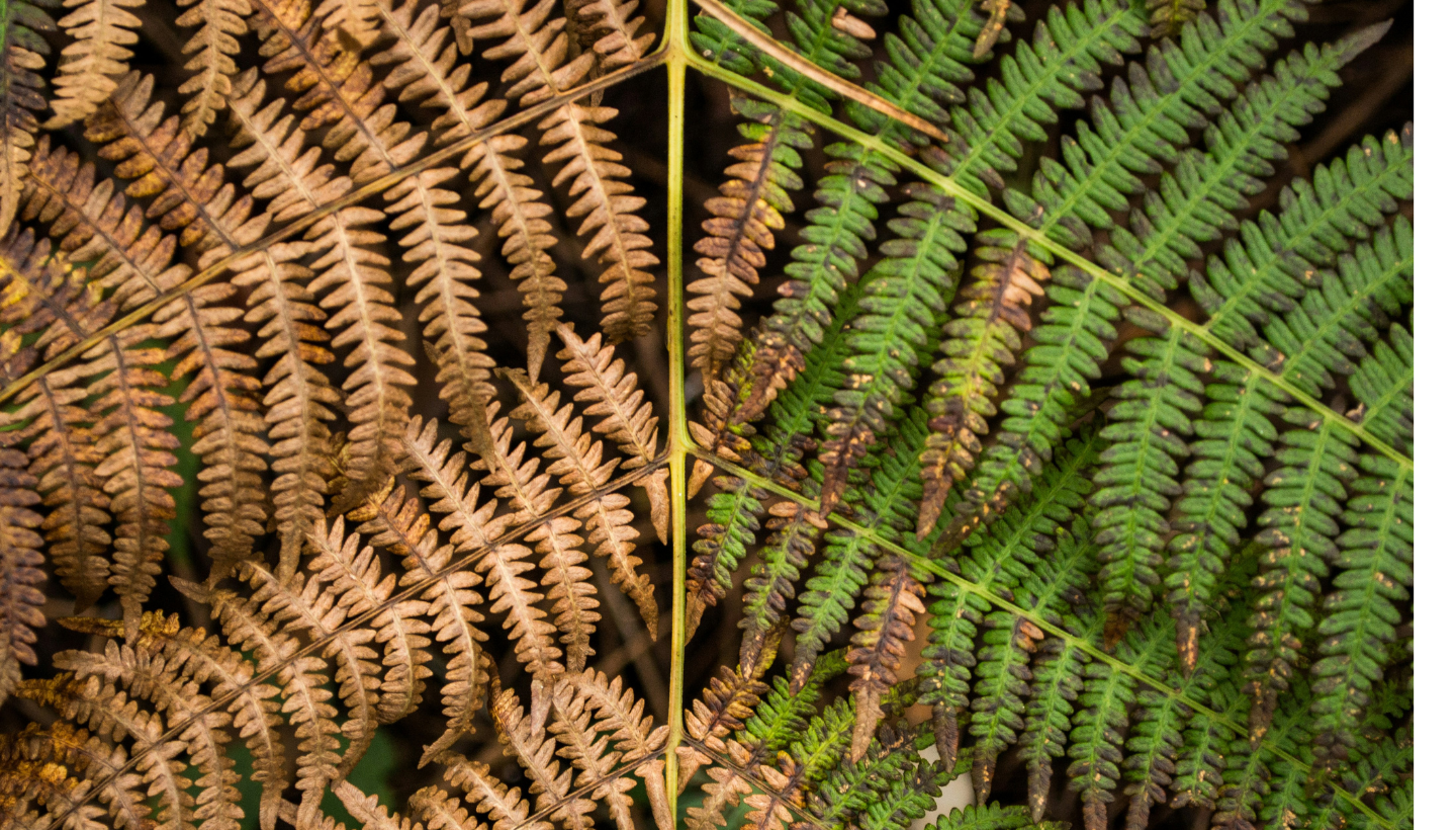 Two sides to the story