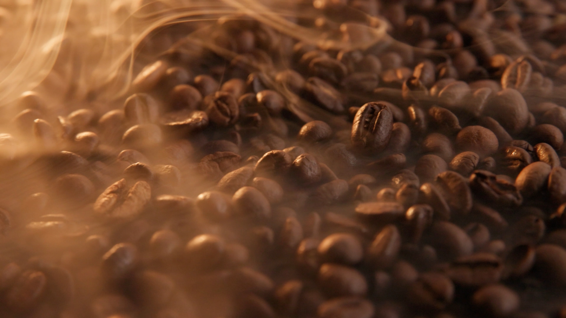 These are project images taken from the video that highlight different parts of the video, this is image 1/3