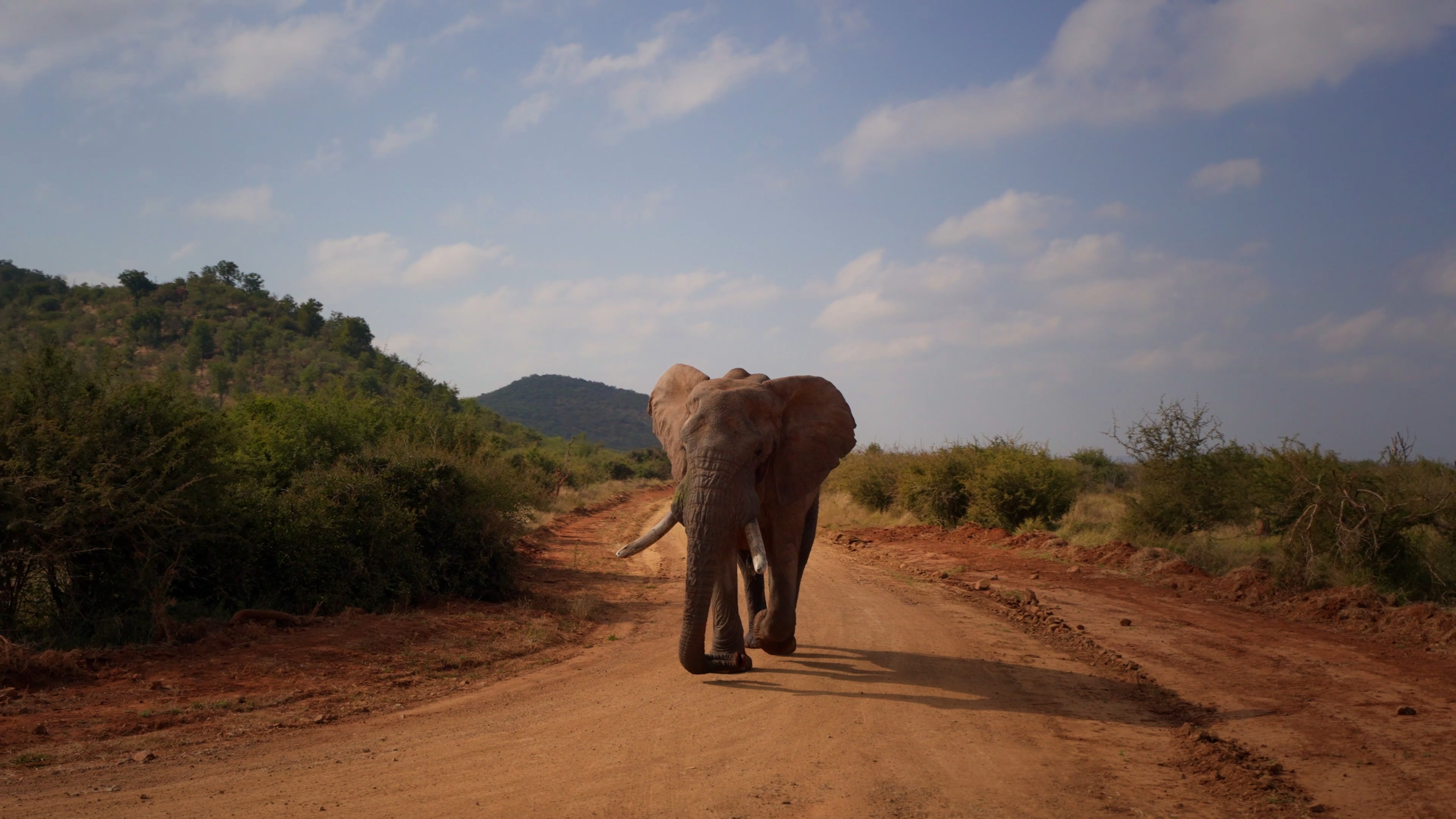 These are project images taken from the video that highlight different parts of the video, this is image 1/3