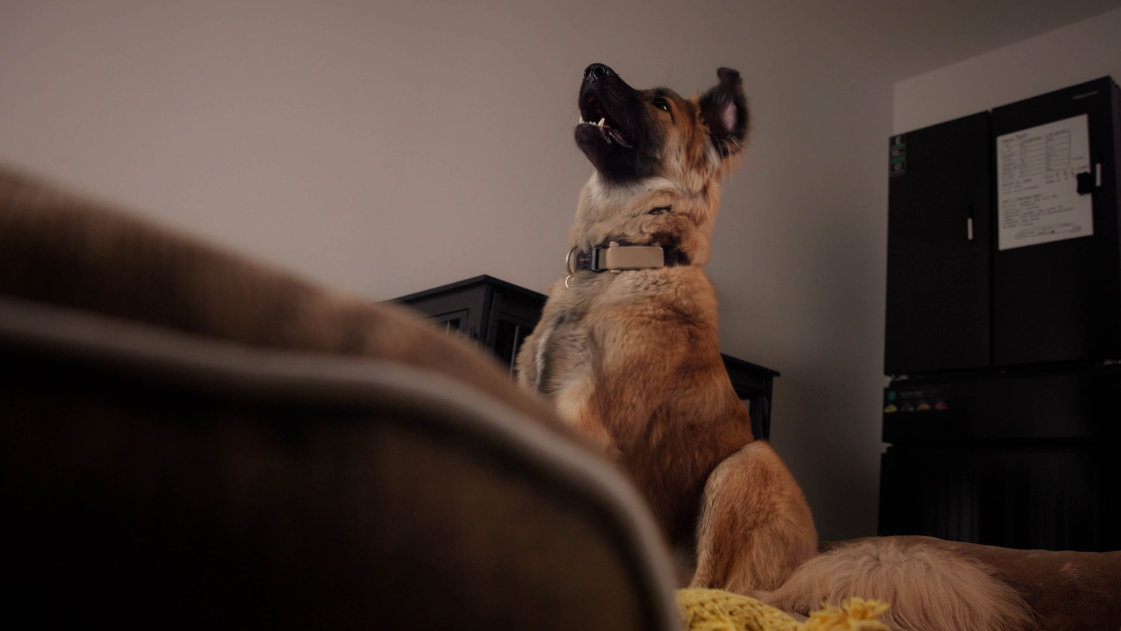 These are project images taken from the video that highlight different parts of the video, this image 3/3