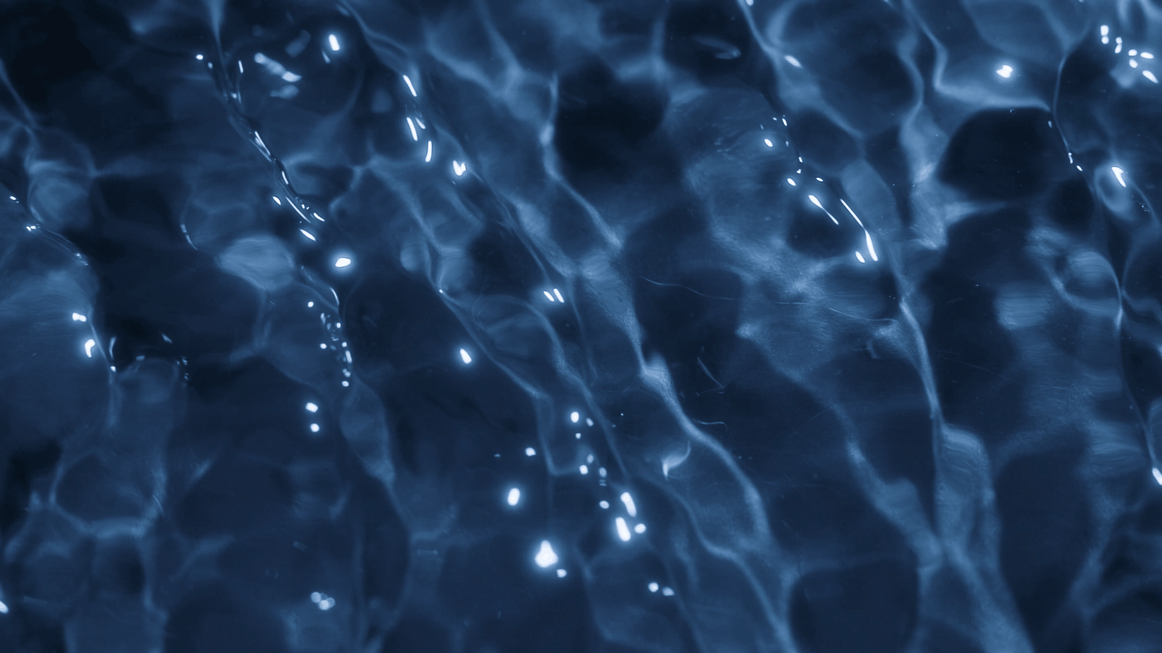These are project images taken from the video that highlight different parts of the video, this image 3/3