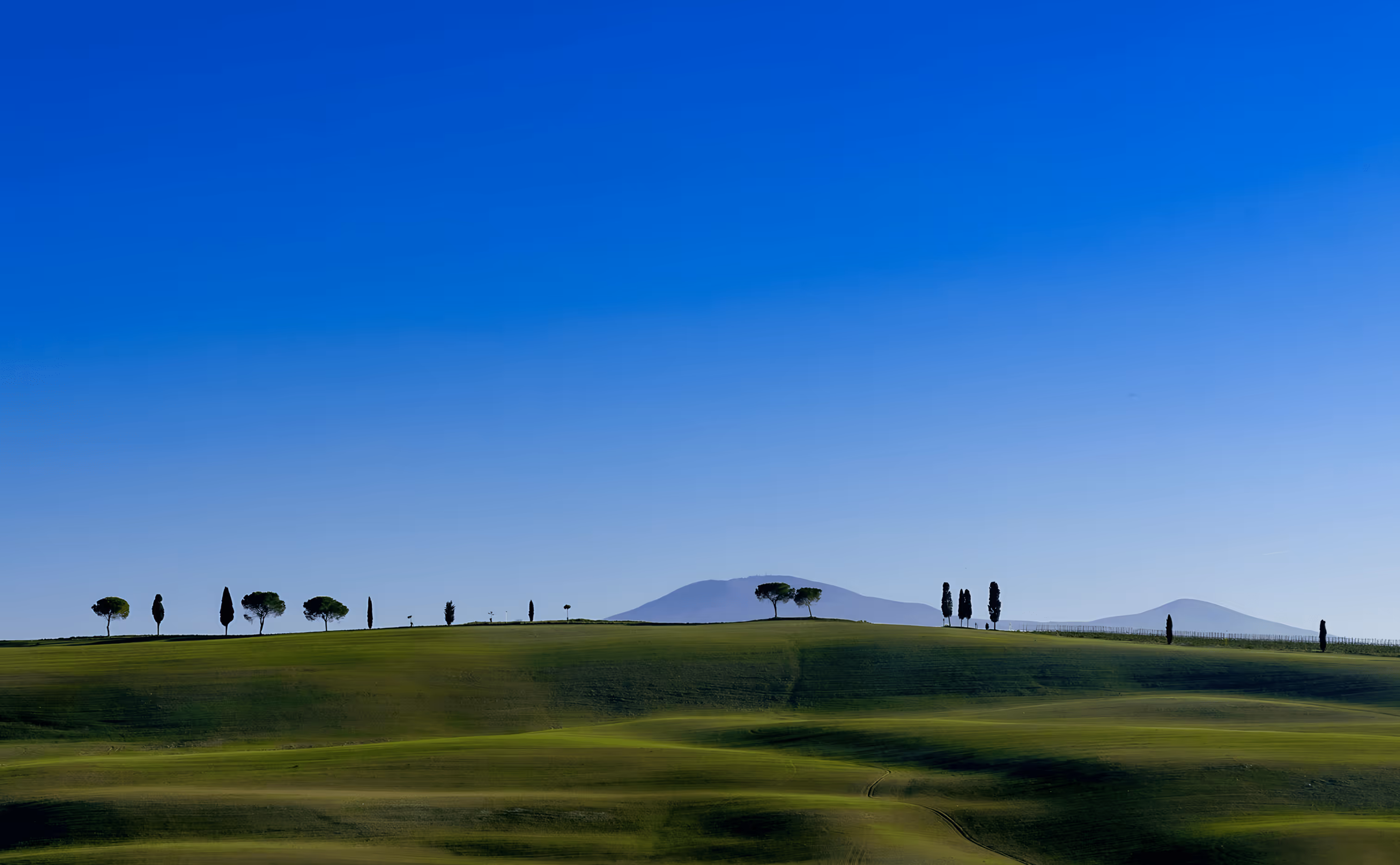 Serene green hills and trees under clear sky representing long-term growth through financial planning
