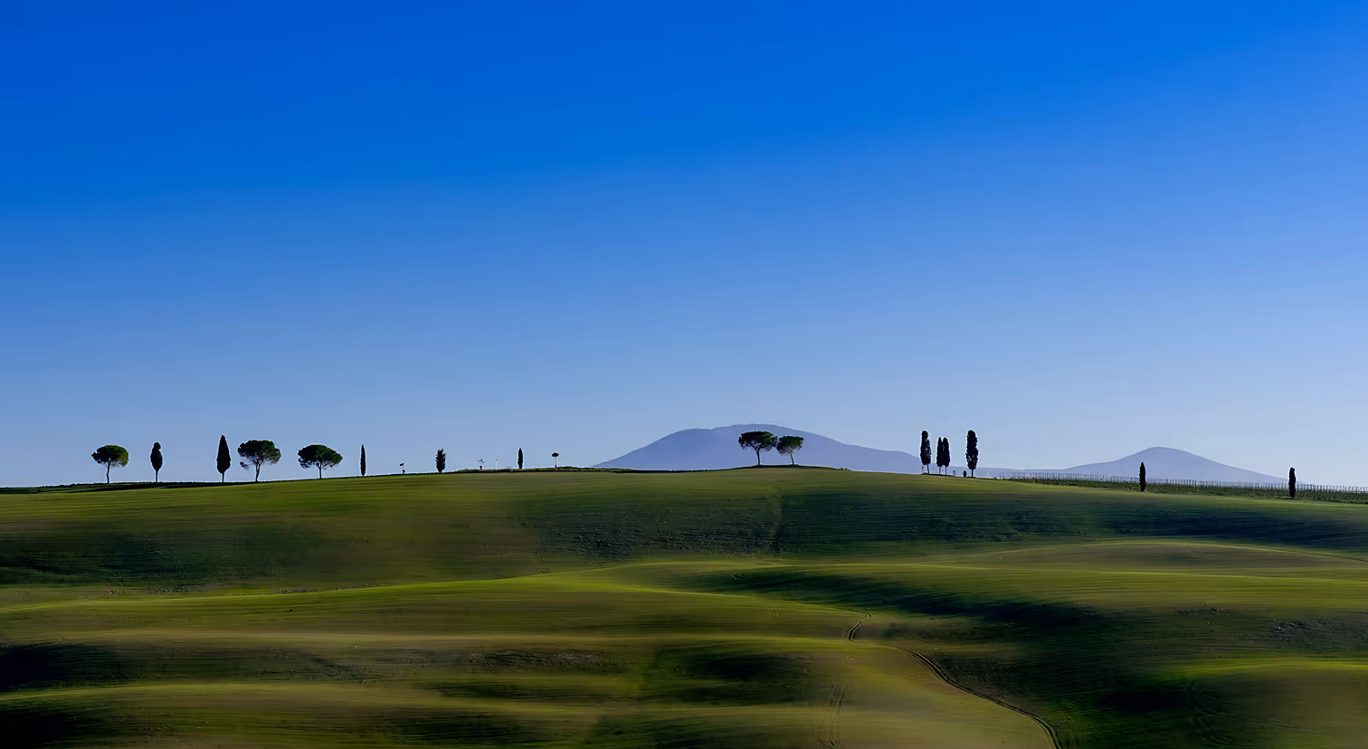 Serene green hills and trees under clear sky representing long-term growth through financial planning